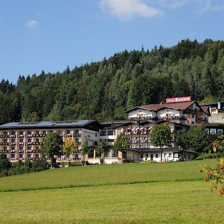Wellness- Und Ferienhotel Waldesruh Bodenmais Exterior photo