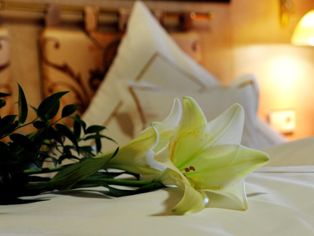Wellness- Und Ferienhotel Waldesruh Bodenmais Room photo